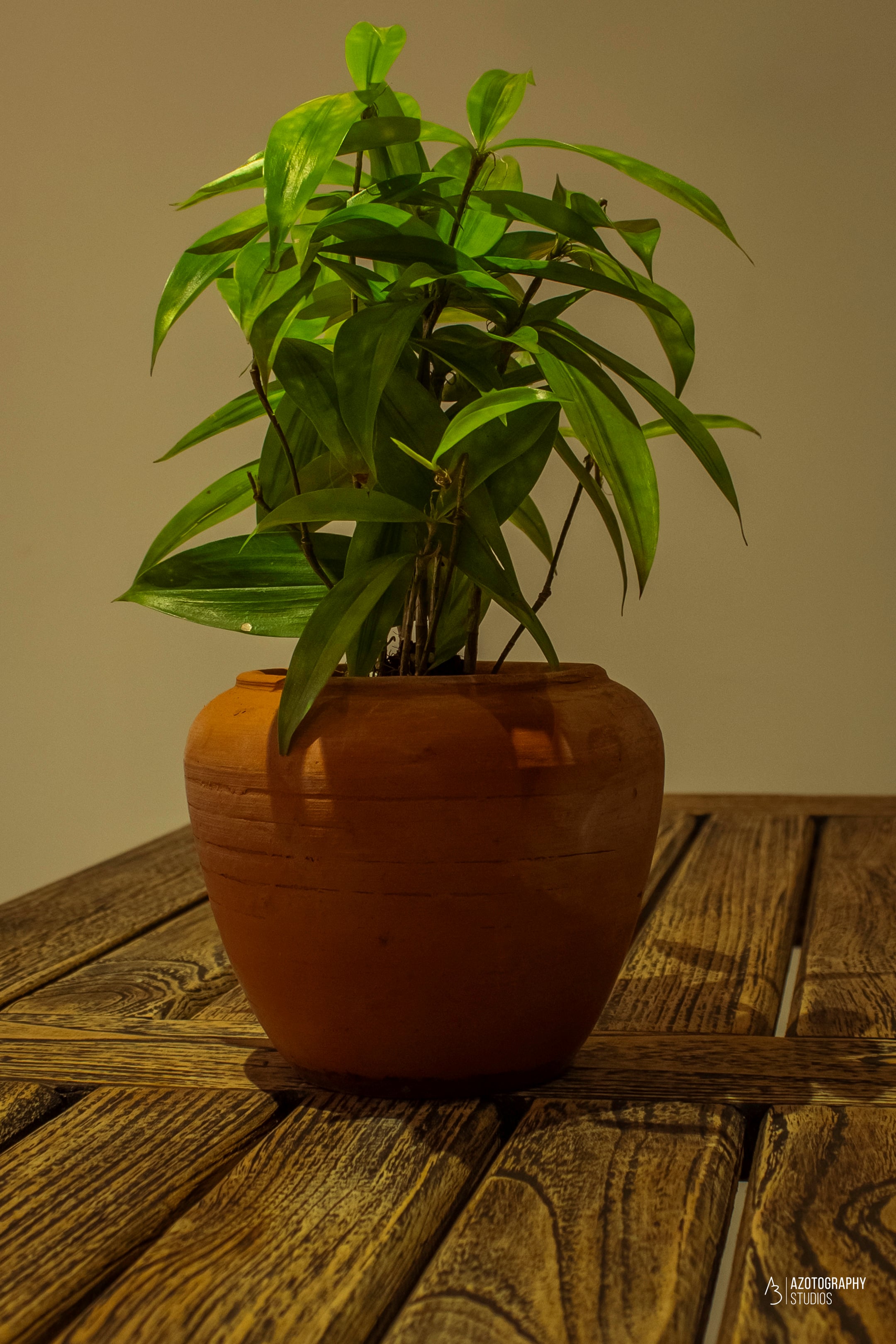 Luxurious master bedroom with mountain views