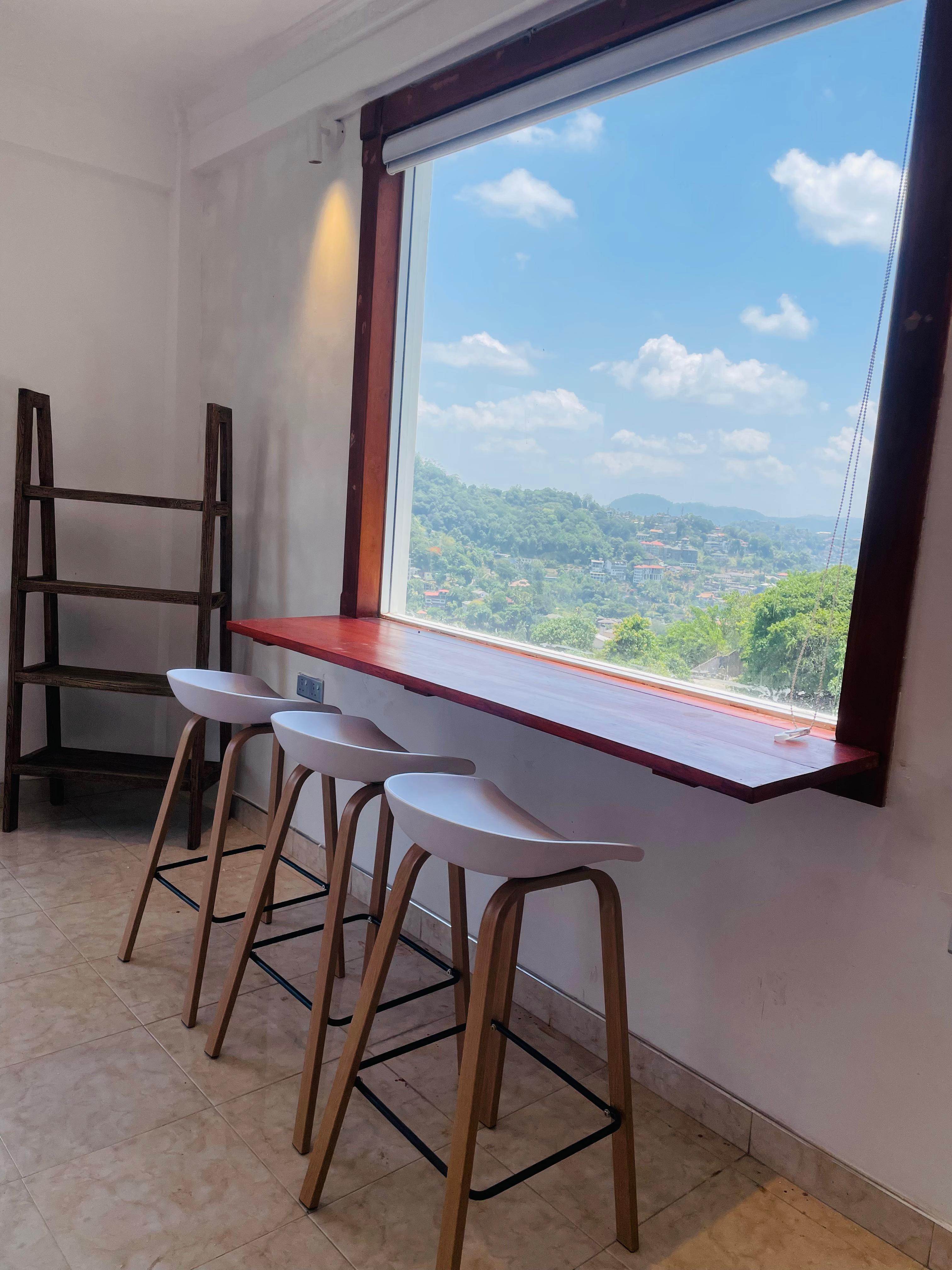 Mountant view from a window